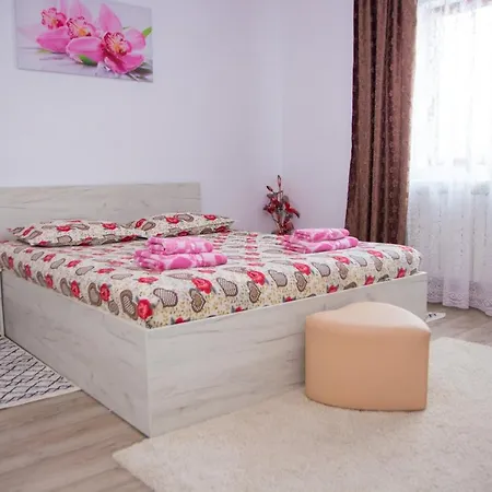Appartement Casa Stefania 1 à Călimăneşti Extérieur photo