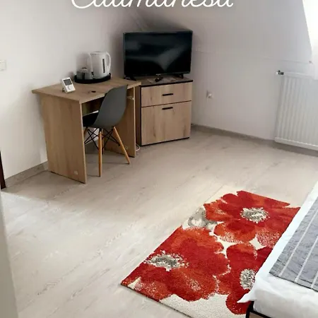 Appartement Casa Stefania 1 à Călimăneşti Extérieur photo