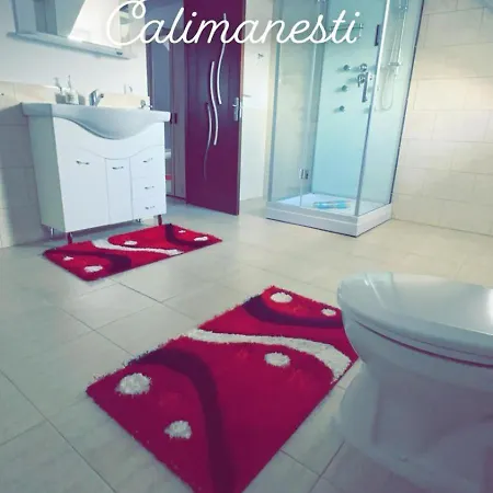 Appartement Casa Stefania 1 à Călimăneşti Extérieur photo