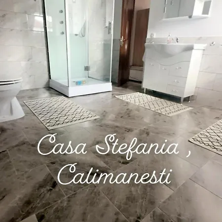 Appartement Casa Stefania 1 à Călimăneşti Extérieur photo