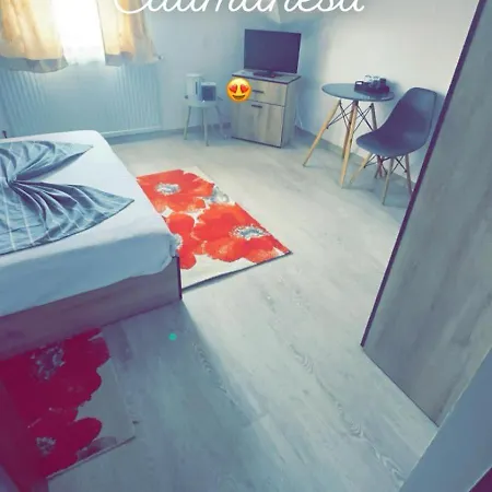 Appartement Casa Stefania 1 à Călimăneşti Extérieur photo